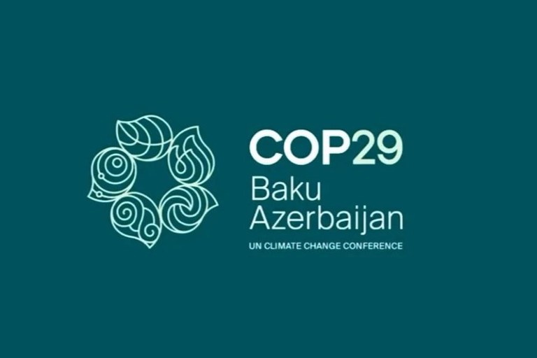 COP29: What is the conference that’s helping shape the future of climate action?